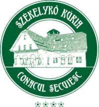 Design fără titlu - 2024-10-31T002617.672